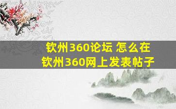 钦州360论坛 怎么在钦州360网上发表帖子